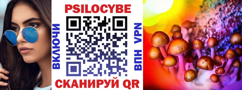 Купить закладки  Звенигово  Псилоцибиновые грибы MAGIC MUSHROOMS 